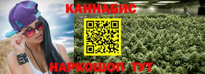 индика Анапа
