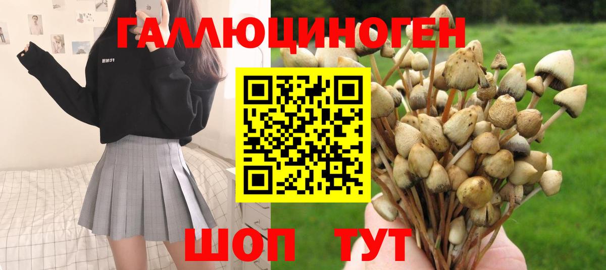 Псилоцибиновые грибы GOLDEN TEACHER  Вход с VPN  Железногорск 